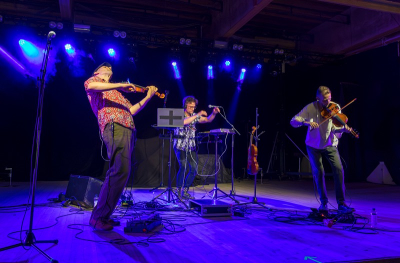 Press photo 2: T3HO. on stage, fiddler leaning back